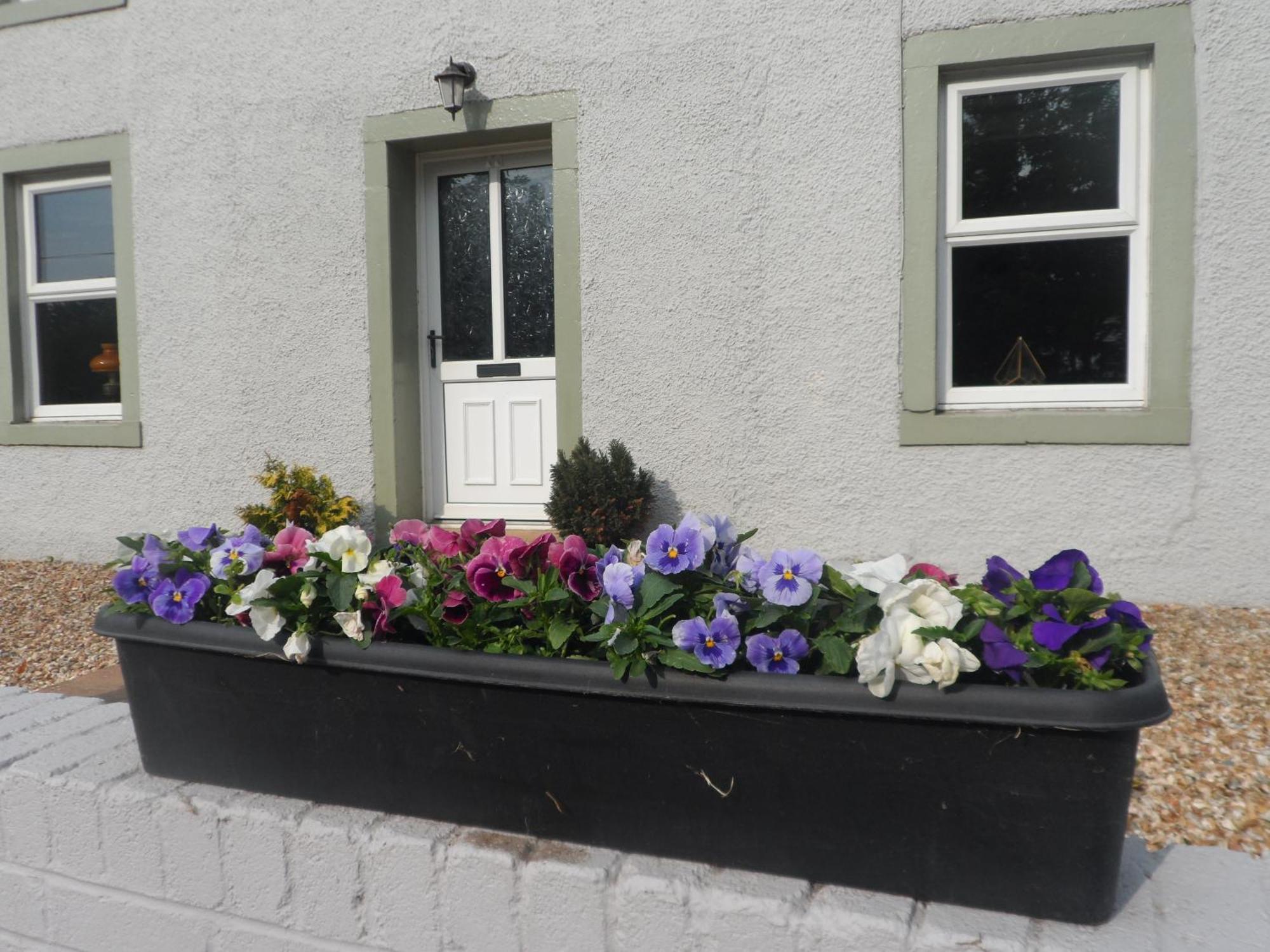 Midtown Farm Bed & Breakfast Easton  Eksteriør bilde